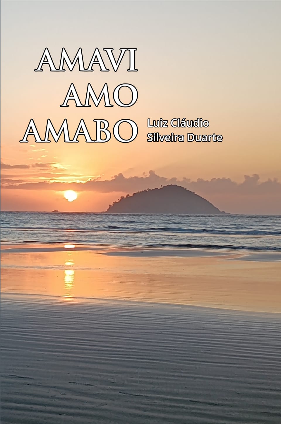 Amo Amavi Amabo